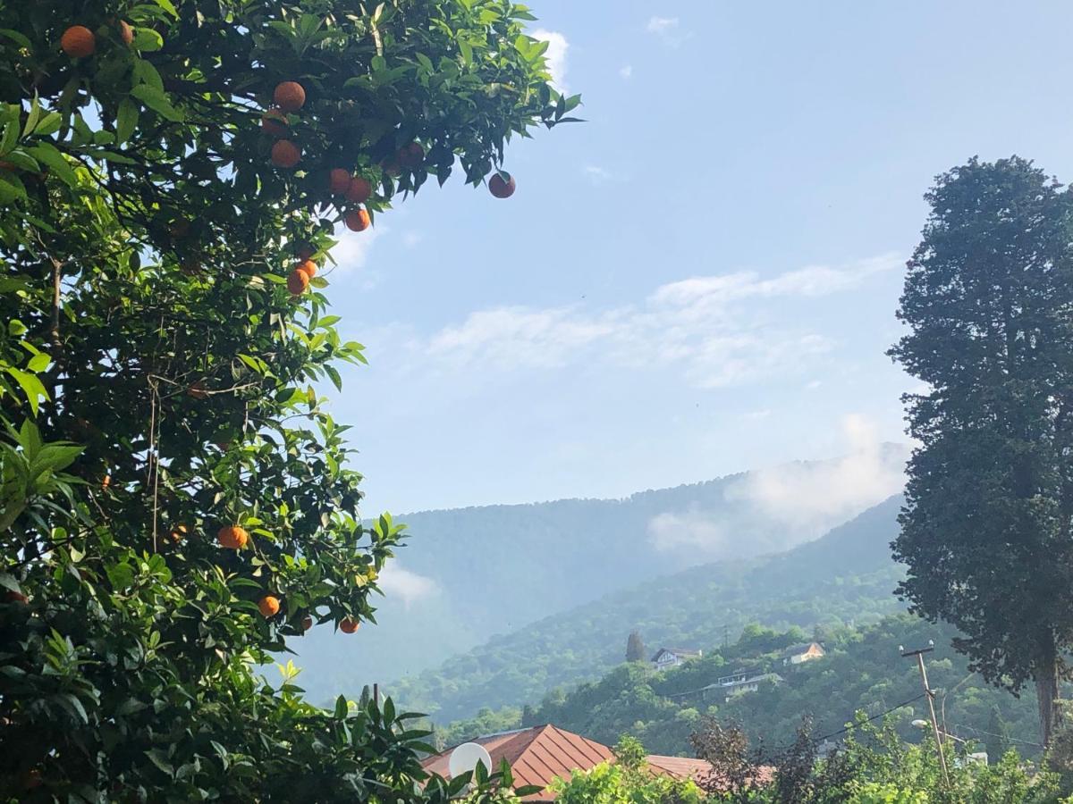 Guest House Letto Gagra Bagian luar foto